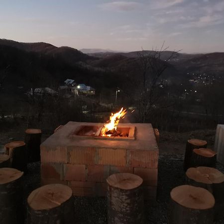 Villa Cabanuta Fara Fite Provita de Jos Exterior foto